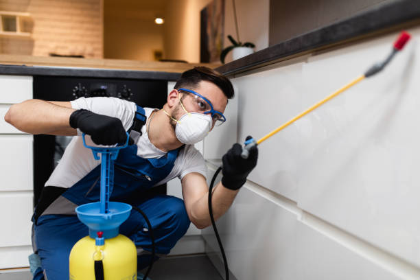  Henderson, NC Pest Control Pros