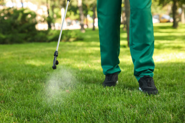 Best Residential Pest Control  in Henderson, NC