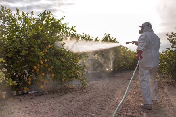 Best Pest Prevention Services  in Henderson, NC