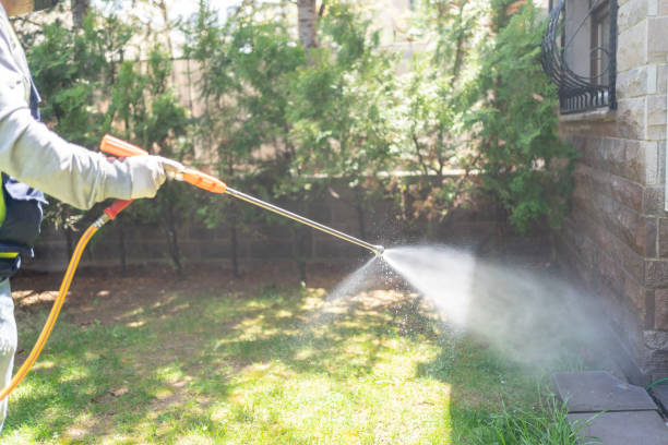 Best Mosquito Control Services  in Henderson, NC