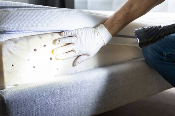 Best Best Pest Control Companies  in Henderson, NC