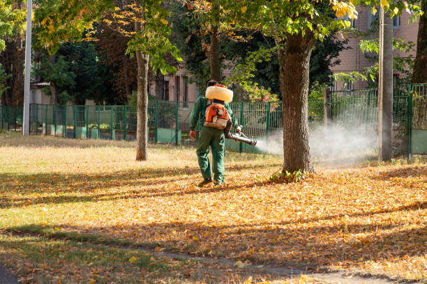 Best Bird Control  in Henderson, NC