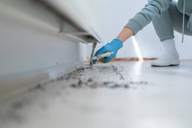 Best Residential Pest Control  in Henderson, NC